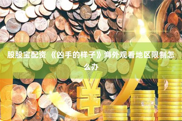 股股宝配资 《凶手的样子》海外观看地区限制怎么办