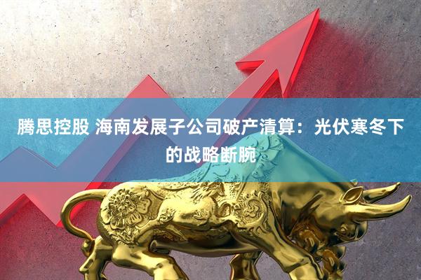 腾思控股 海南发展子公司破产清算:光伏寒冬下的战略断腕