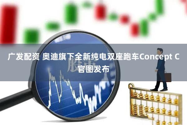 广发配资 奥迪旗下全新纯电双座跑车Concept C官图发布