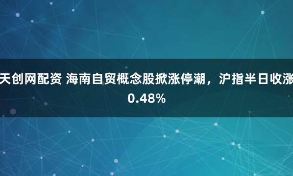 天创网配资 海南自贸概念股掀涨停潮，沪指半日收涨0.48%